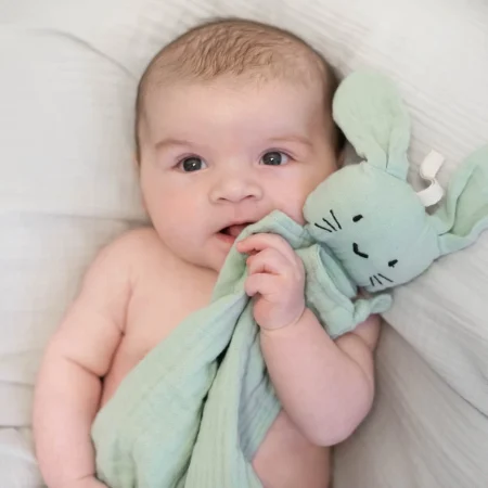 Summerville Organic Πανάκι Παρηγοριάς από Οργανικό Βαμβάκι Cuddly Rabbit cameo green babybox