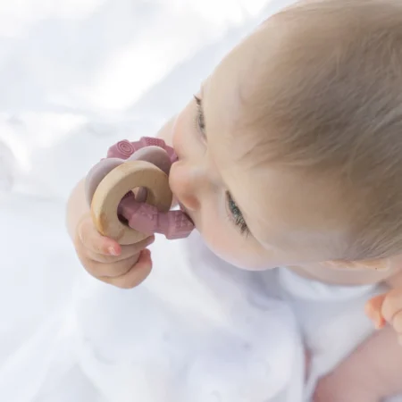 Summerville Organic Μασητικό παιχνίδι από Σιλικόνη και Ξύλο Οξιάς Heart pink babybox.gr