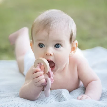 Summerville Organic Μασητικό παιχνίδι από Σιλικόνη και Ξύλο Οξιάς Heart pink babybox.gr