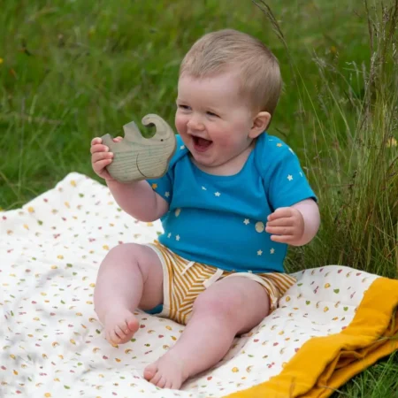 Little Green Radicals Οργανικό Βρεφικό Κορμάκι Dawn baby box