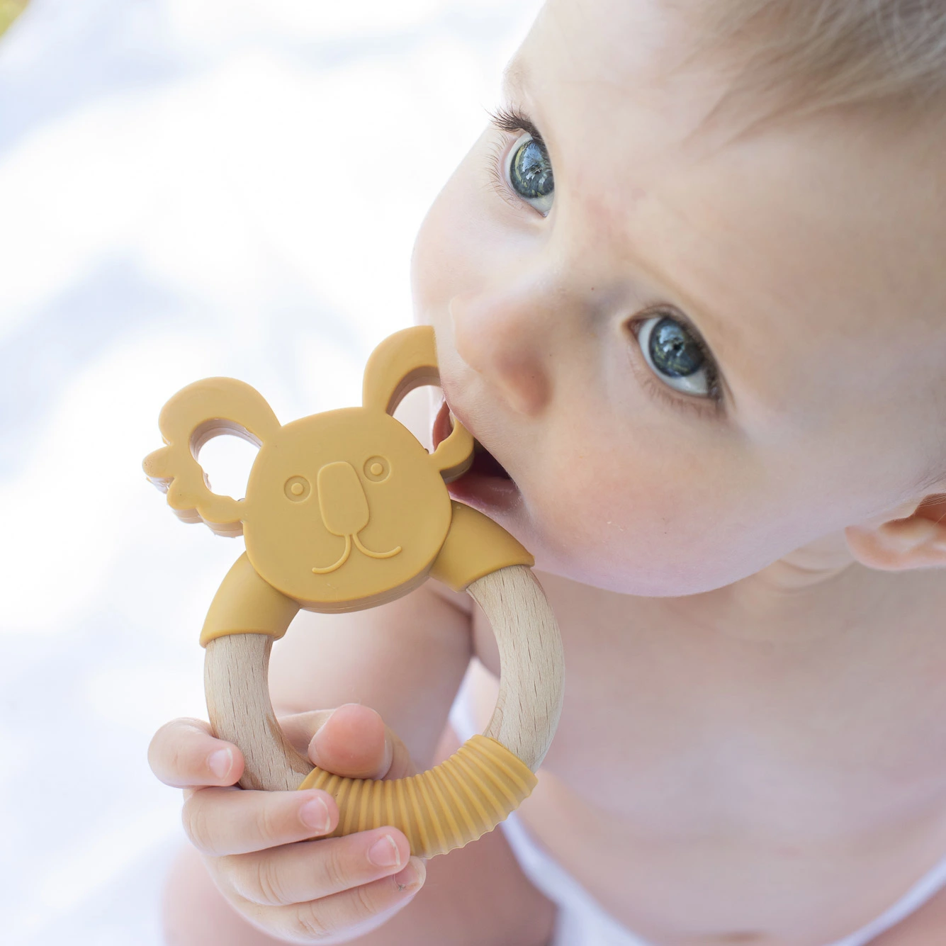 Summerville Organic Μασητικό Σιλικόνης και Ξύλου Οξιάς Koala Ochre babybox.gr